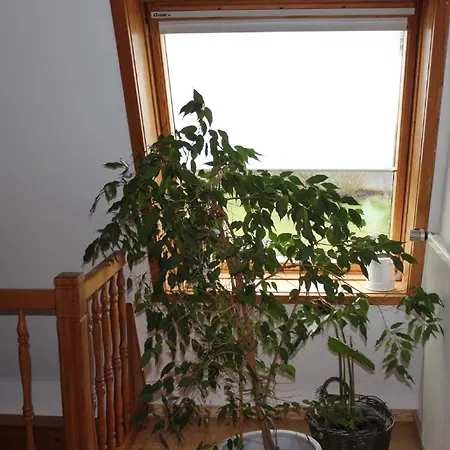 Apartmán Ferienwohnung In Blankenheim-freilingen *